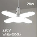 cold white 220v