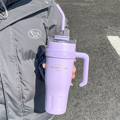 Stainless Steel Insulated Cup with Handle & Straw, Ice Tumbler Keeps Cold for Car, Coffee, Water