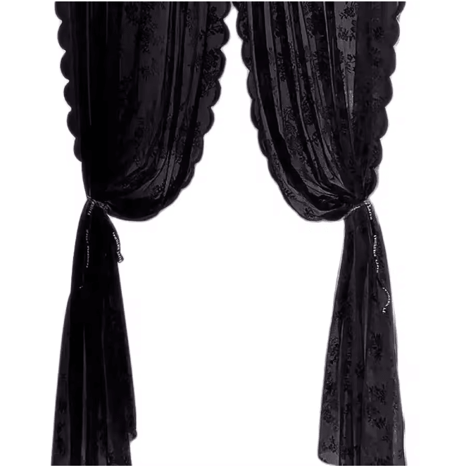 Velora Black Floral Lace Sheer Curtain Panel