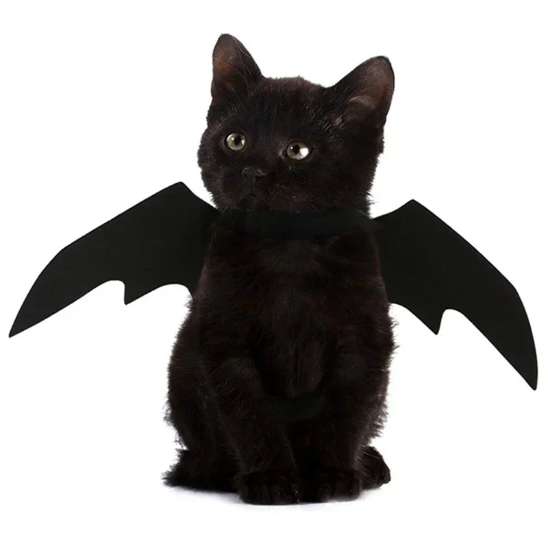 Cosplay Cat and Dog Outfit, Black Bat Wings, Creative Cute Pet Clothes, Party Costume