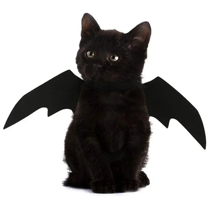 Cosplay Cat and Dog Outfit, Black Bat Wings, Creative Cute Pet Clothes, Party Costume