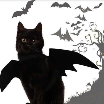 Cosplay Cat and Dog Outfit, Black Bat Wings, Creative Cute Pet Clothes, Party Costume