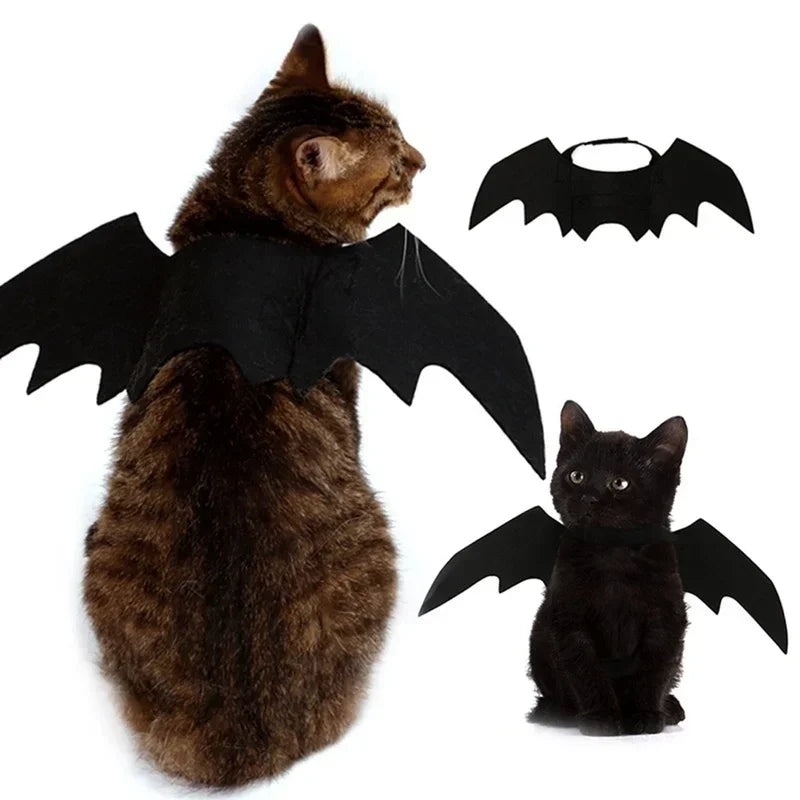 Cosplay Cat and Dog Outfit, Black Bat Wings, Creative Cute Pet Clothes, Party Costume