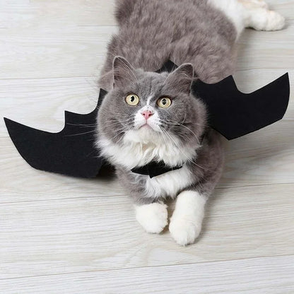Cosplay Cat and Dog Outfit, Black Bat Wings, Creative Cute Pet Clothes, Party Costume