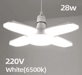 cold white 220v