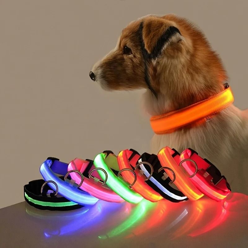 Nylon LED Night Safety Glow Dog Leash and Collar