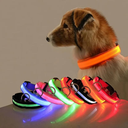Nylon LED Night Safety Glow Dog Leash and Collar