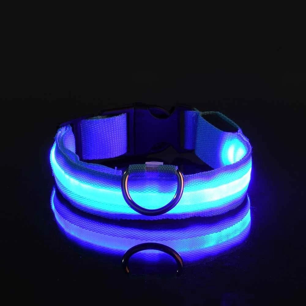 Nylon LED Night Safety Glow Dog Leash and Collar