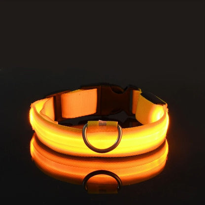 Nylon LED Night Safety Glow Dog Leash and Collar