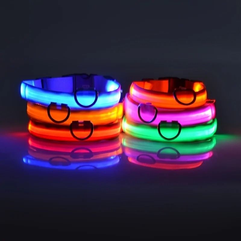 Nylon LED Night Safety Glow Dog Leash and Collar
