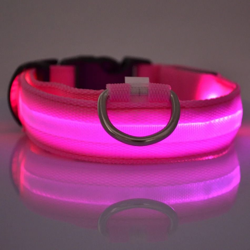 Nylon LED Night Safety Glow Dog Leash and Collar