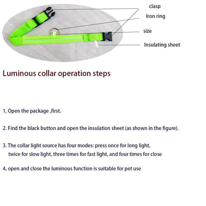 Nylon LED Night Safety Glow Dog Leash and Collar