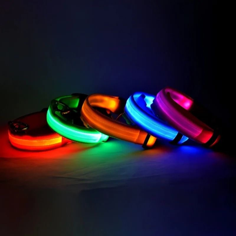 Nylon LED Night Safety Glow Dog Leash and Collar