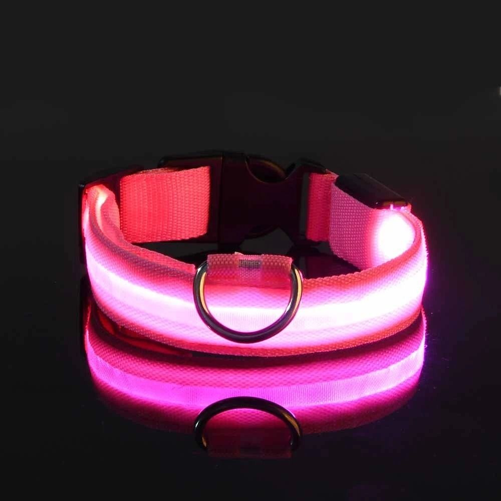 Nylon LED Night Safety Glow Dog Leash and Collar
