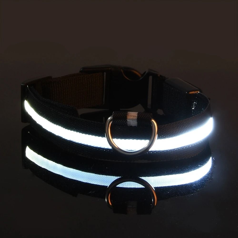 Nylon LED Night Safety Glow Dog Leash and Collar