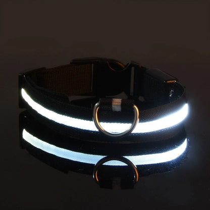 Nylon LED Night Safety Glow Dog Leash and Collar
