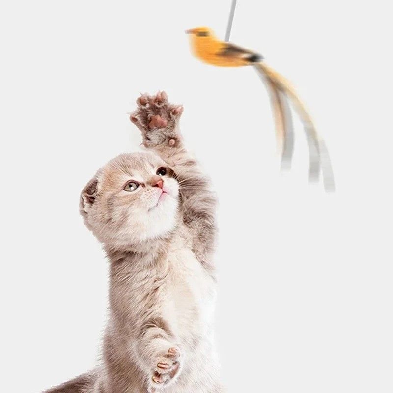 Feather-Bird Interactive Cat Wand, Premium Suction-Stick Teaser for Confident Indoor Cats
