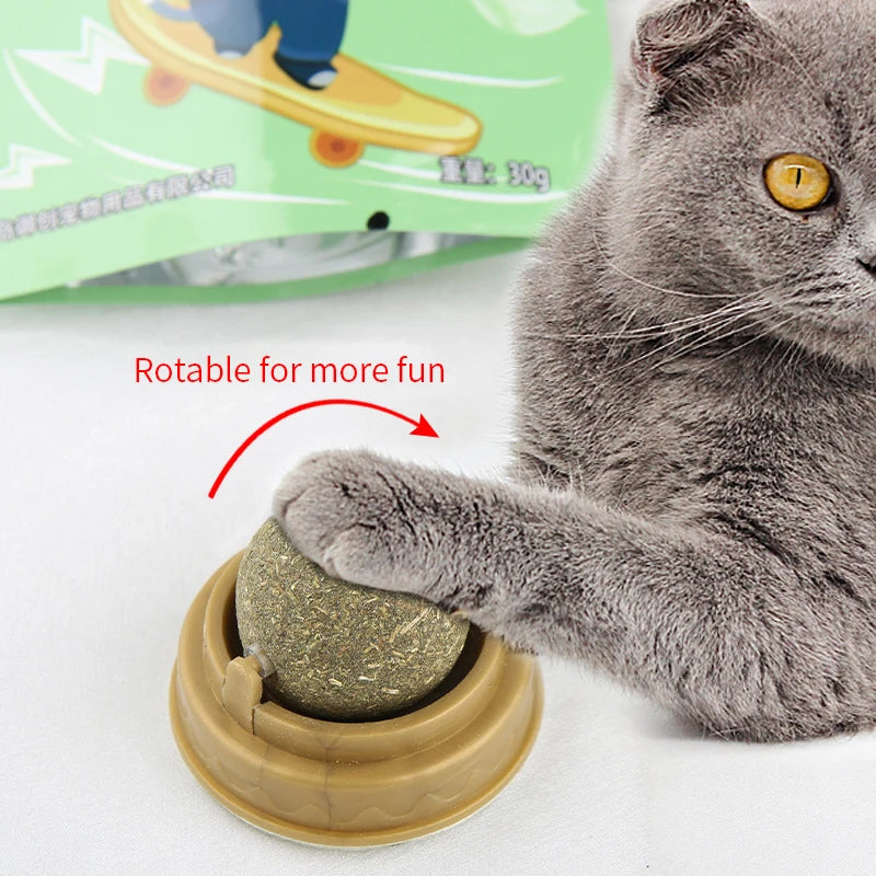 Cat Grass Snack, Removes Balls to Promote Digestion, Healthy Natural Toy for Cats