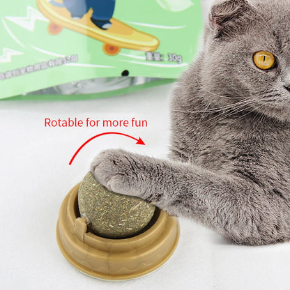 Cat Grass Snack, Removes Balls to Promote Digestion, Healthy Natural Toy for Cats