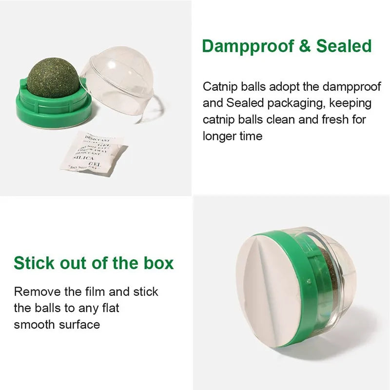 Cat Grass Snack, Removes Balls to Promote Digestion, Healthy Natural Toy for Cats