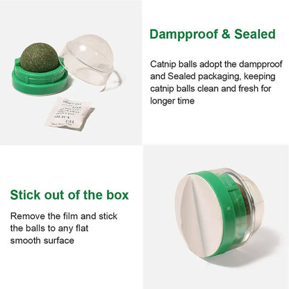Cat Grass Snack, Removes Balls to Promote Digestion, Healthy Natural Toy for Cats