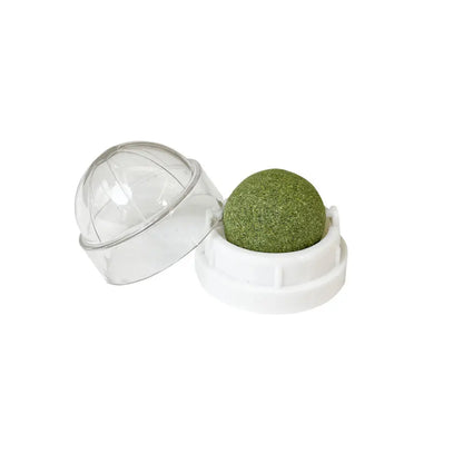 Cat Grass Snack, Removes Balls to Promote Digestion, Healthy Natural Toy for Cats