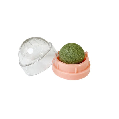 Cat Grass Snack, Removes Balls to Promote Digestion, Healthy Natural Toy for Cats