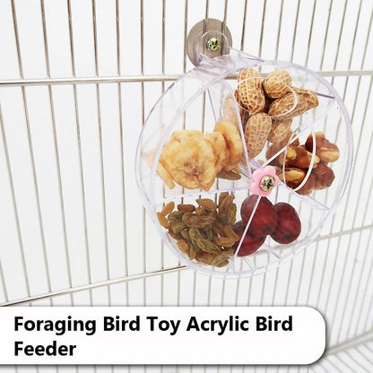 Ultimate Foraging Wheel Bird Toy – Rotate & Feed Parrot Activity Kit