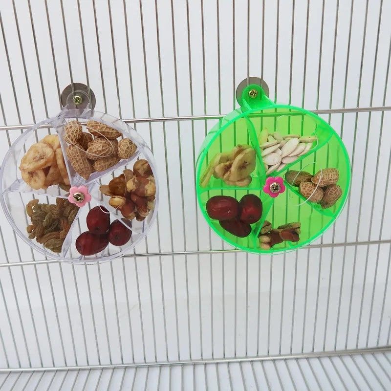 Ultimate Foraging Wheel Bird Toy – Rotate & Feed Parrot Activity Kit