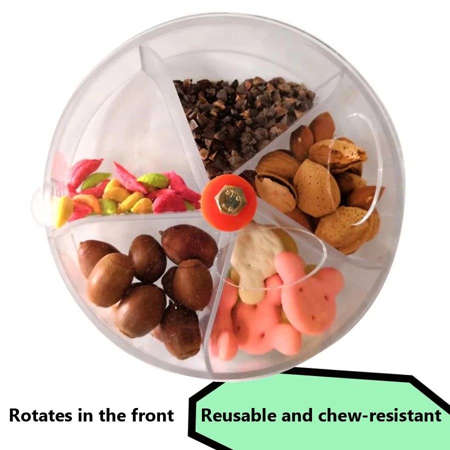 Ultimate Foraging Wheel Bird Toy – Rotate & Feed Parrot Activity Kit
