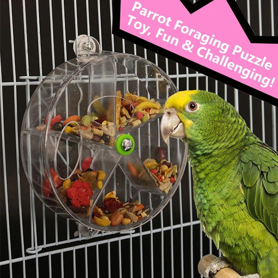 Ultimate Foraging Wheel Bird Toy – Rotate & Feed Parrot Activity Kit