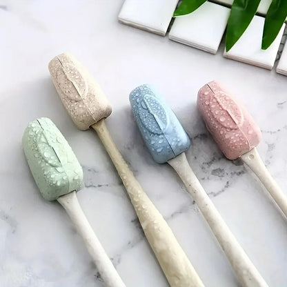 Portable Toothbrush Head Cover Box Set