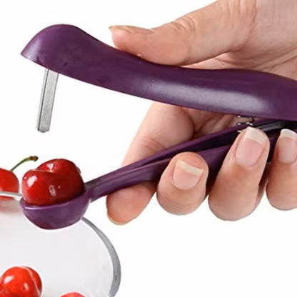 Fruit & Olive Pit Remover Tool for Cherry and Small Fruit Pitting