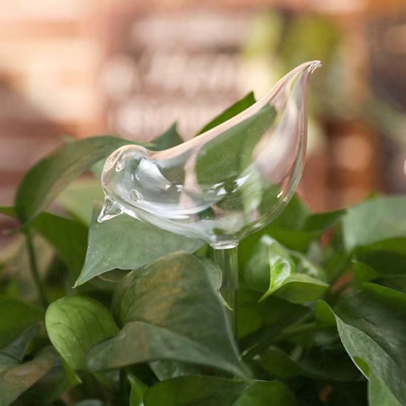 Bird-Shaped Self Watering Globes Hand-Blown Clear Glass Aqua Bulbs for Indoor and Outdoor Plants