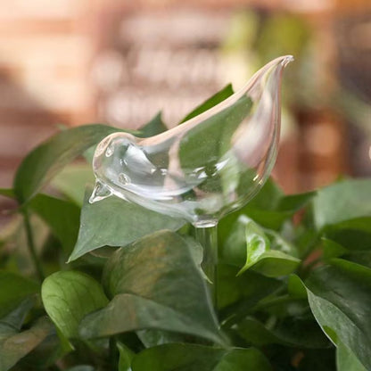 Bird-Shaped Self Watering Globes Hand-Blown Clear Glass Aqua Bulbs for Indoor and Outdoor Plants