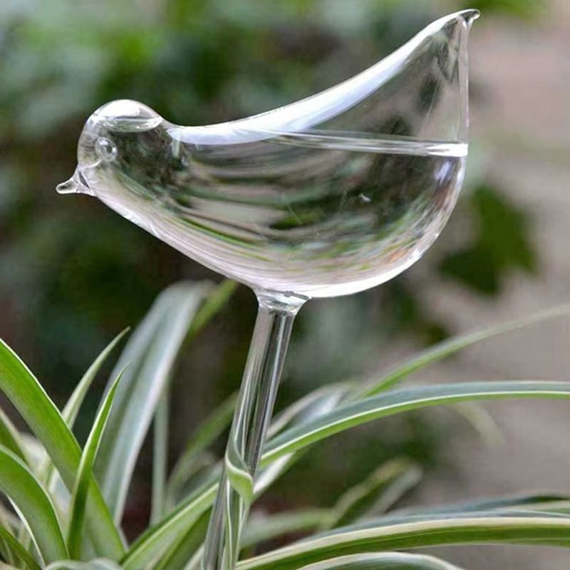 Bird-Shaped Self Watering Globes Hand-Blown Clear Glass Aqua Bulbs for Indoor and Outdoor Plants