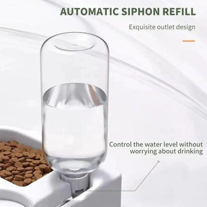 Cat and Dog Double Bowl with Automatic Water Dispenser, Anti-Tip Design for Pet Food