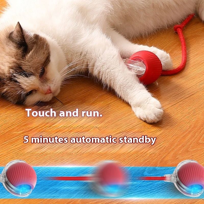 Electric Cat Ball Toy with Automatic Rolling and Teaser Movement