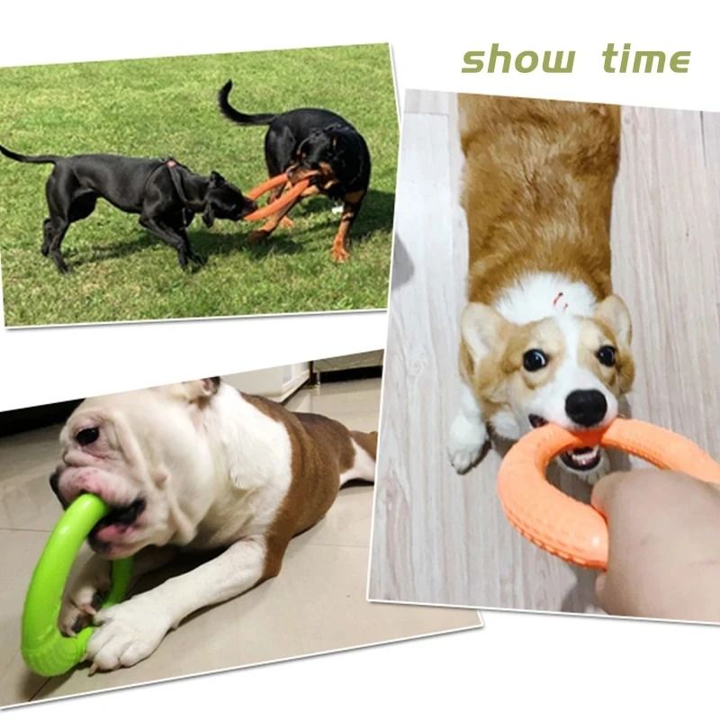 Floating Water Dog Toy Training Ring for Interactive Play and Chewing