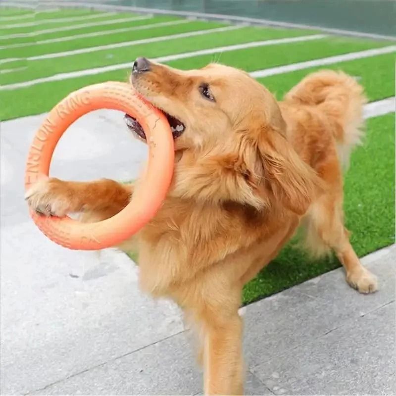 Floating Water Dog Toy Training Ring for Interactive Play and Chewing