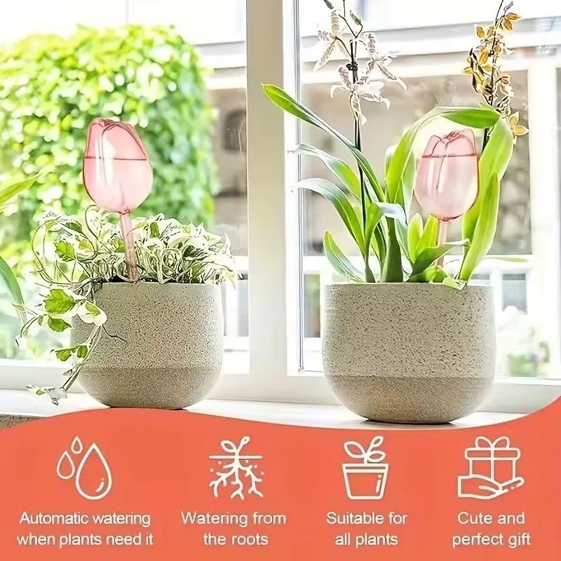 Pink Tulip Self Watering Plant Bulbs for Indoor and Outdoor Pots