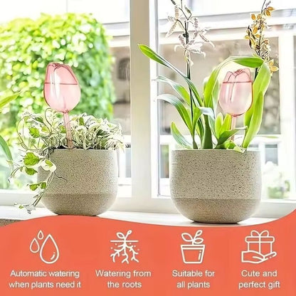 Pink Tulip Self Watering Plant Bulbs for Indoor and Outdoor Pots