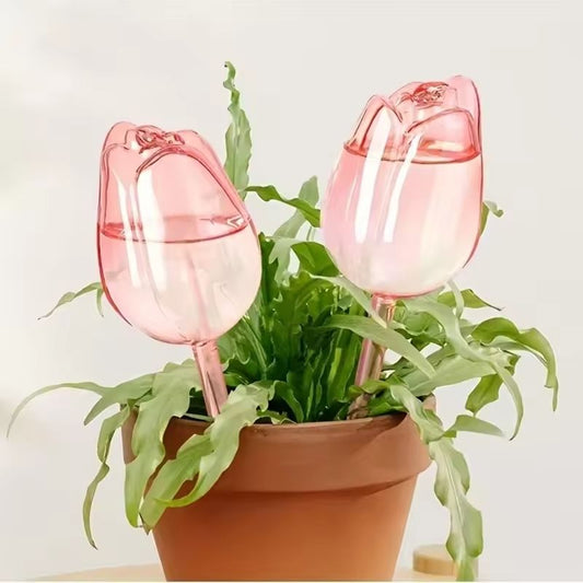 Pink Tulip Self Watering Plant Bulbs for Indoor and Outdoor Pots