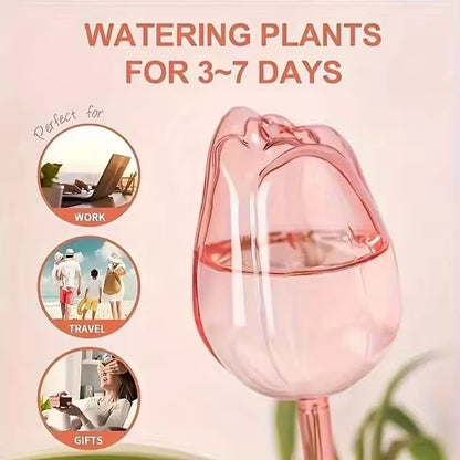 Pink Tulip Self Watering Plant Bulbs for Indoor and Outdoor Pots