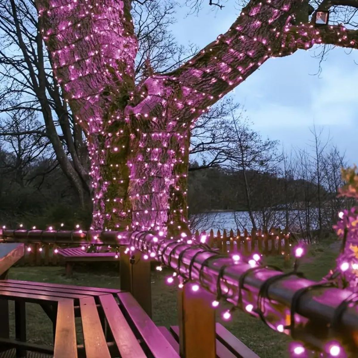 Shimmering LEDs, Sparkling Pink Fairy Lights, Valentines Day Wedding Christmas Decor, Enchanting Modes