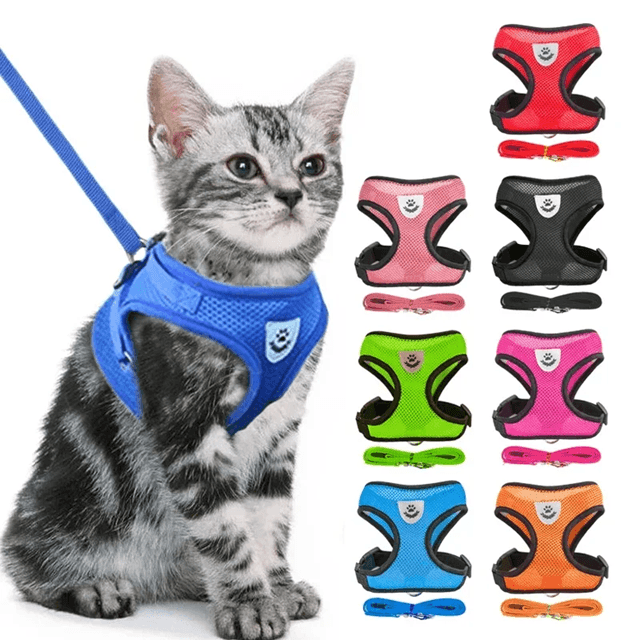 Adjustable Mesh Cat and Small Dog Harness with Leash