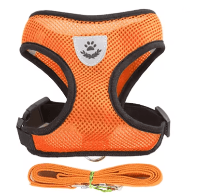 Adjustable Mesh Cat and Small Dog Harness with Leash