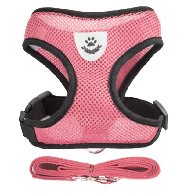 Adjustable Mesh Cat and Small Dog Harness with Leash