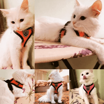 Adjustable Mesh Cat and Small Dog Harness with Leash