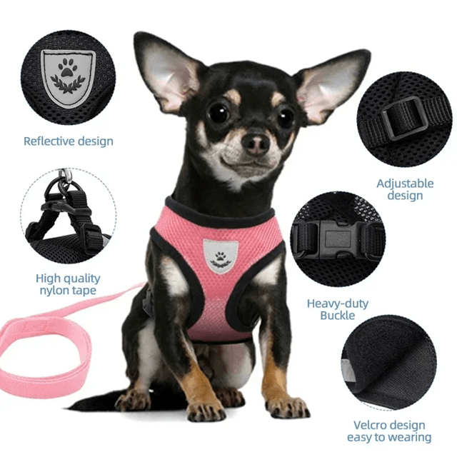 Adjustable Mesh Cat and Small Dog Harness with Leash